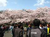 2011-04-10-1131-s.png