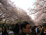 2011-04-10-1138-s.png